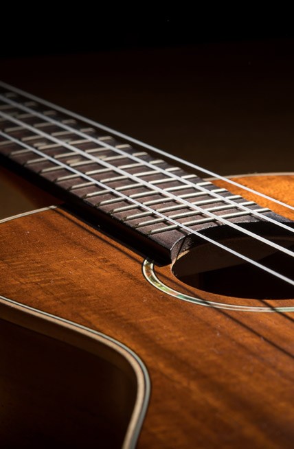 Producing a guitare with a Columbus vacuum press