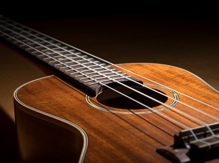 Layer gluing of a guitar with a Columbus vacuum press