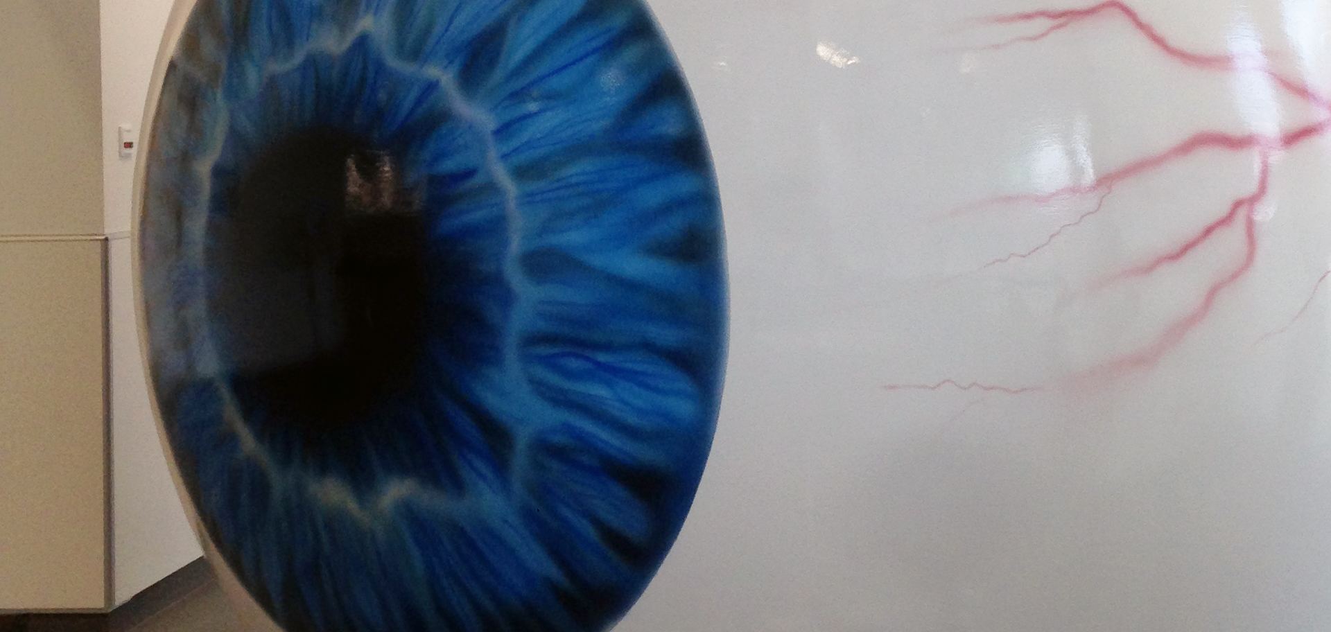 An eye for the University Eye Clinic in Tübingen